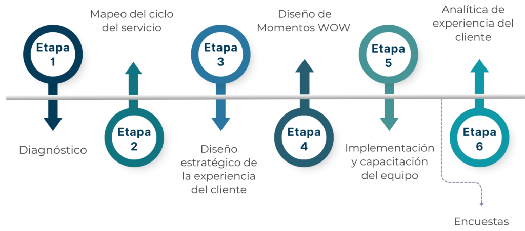 metodologia cx